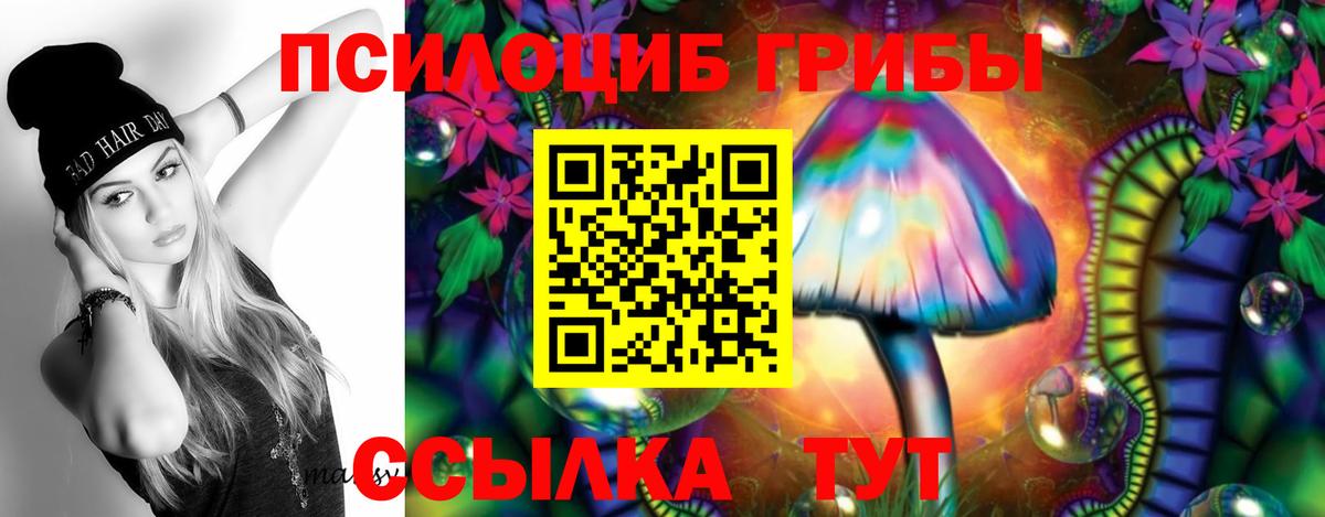 Галлюциногенные грибы Psilocybine cubensis  Вход с VPN  Новошахтинск  Галлюциногенные грибы MAGIC MUSHROOMS 